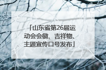 山东省第26届运动会会徽、吉祥物、主题宣传口号发布