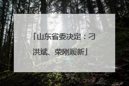 山东省委决定：刁洪斌、荣刚履新