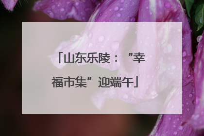 山东乐陵：“幸福市集”迎端午