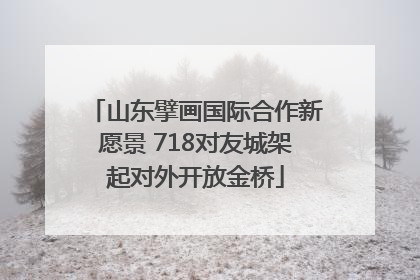 山东擘画国际合作新愿景 718对友城架起对外开放金桥