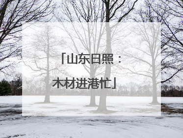 山东日照：木材进港忙