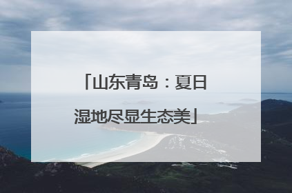 山东青岛：夏日湿地尽显生态美