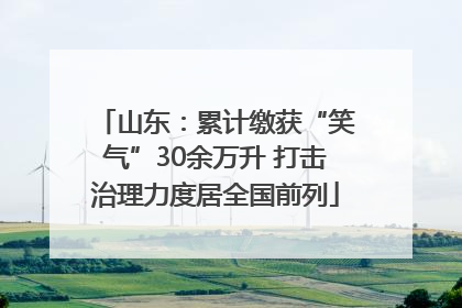 山东：累计缴获“笑气”30余万升 打击治理力度居全国前列