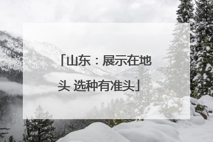 山东：展示在地头 选种有准头