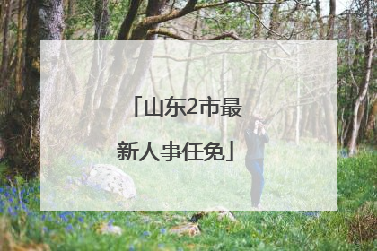 山东2市最新人事任免