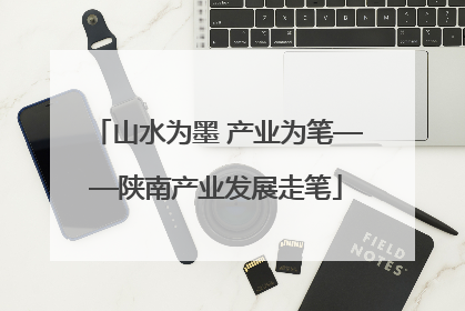 山水为墨 产业为笔——陕南产业发展走笔