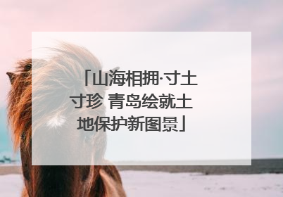 山海相拥·寸土寸珍 青岛绘就土地保护新图景