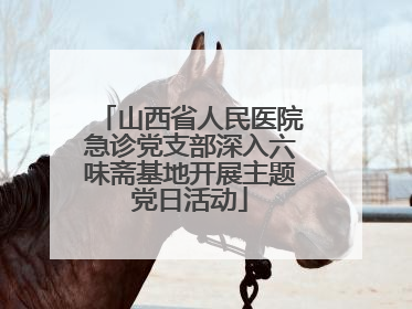 山西省人民医院急诊党支部深入六味斋基地开展主题党日活动