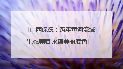 山西保德：筑牢黄河流域生态屏障 永葆美丽底色