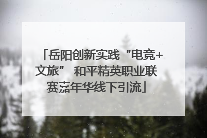 岳阳创新实践“电竞+文旅” 和平精英职业联赛嘉年华线下引流