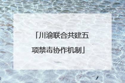 川渝联合共建五项禁毒协作机制