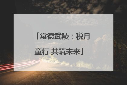 常德武陵：税月童行 共筑未来