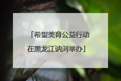 希望美育公益行动在黑龙江讷河举办