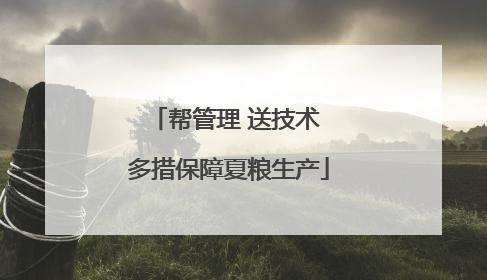 帮管理 送技术 多措保障夏粮生产