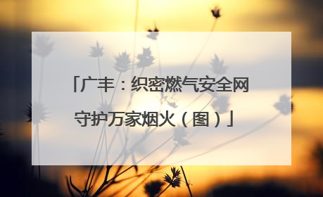 广丰：织密燃气安全网 守护万家烟火（图）