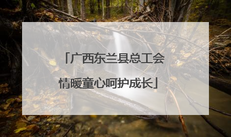 广西东兰县总工会情暖童心呵护成长