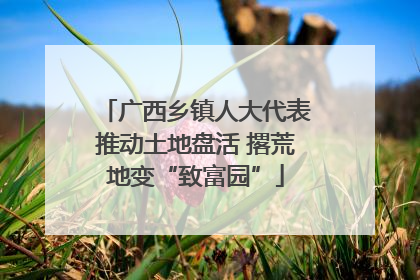 广西乡镇人大代表推动土地盘活 撂荒地变“致富园”