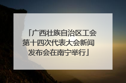 广西壮族自治区工会第十四次代表大会新闻发布会在南宁举行