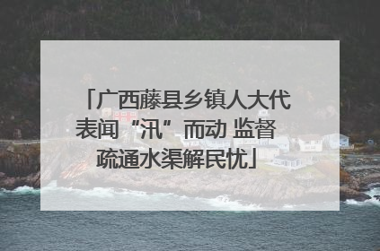 广西藤县乡镇人大代表闻“汛”而动 监督疏通水渠解民忧