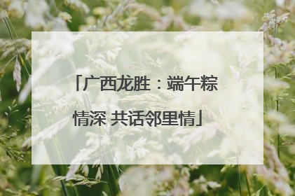 广西龙胜：端午粽情深 共话邻里情