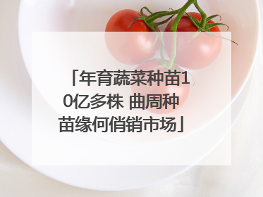 年育蔬菜种苗10亿多株 曲周种苗缘何俏销市场
