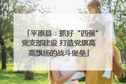 平原县：抓好“四强”党支部建设 打造党旗高高飘扬的战斗堡垒
