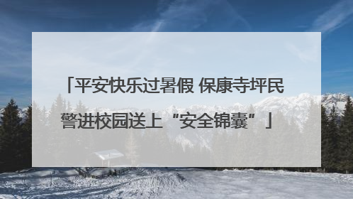 平安快乐过暑假 保康寺坪民警进校园送上“安全锦囊”