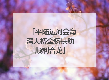 平陆运河金海湾大桥全桥拱肋顺利合龙