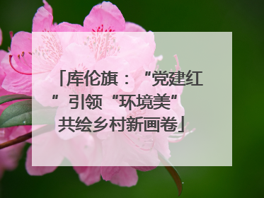 库伦旗：“党建红”引领“环境美” 共绘乡村新画卷