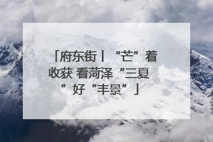府东街丨“芒”着收获 看菏泽“三夏”好“丰景”