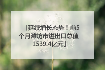 延续增长态势！前5个月潍坊市进出口总值1539.4亿元
