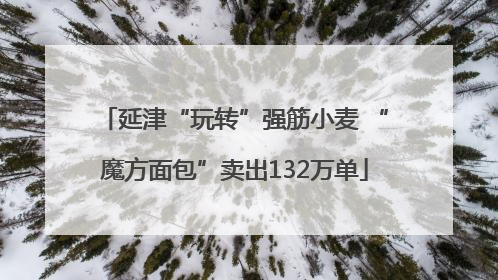延津“玩转”强筋小麦 “魔方面包”卖出132万单