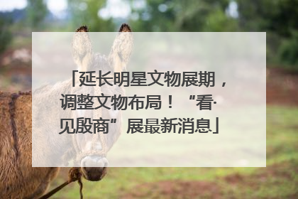 延长明星文物展期，调整文物布局！“看·见殷商”展最新消息