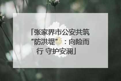 张家界市公安共筑“防洪堤”：向险而行 守护安澜