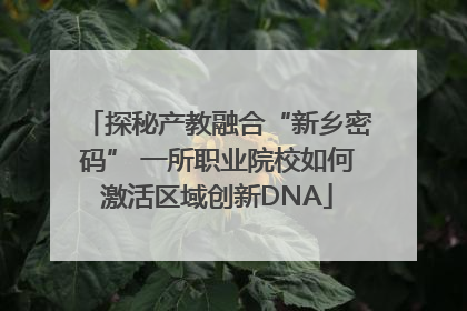 探秘产教融合“新乡密码” 一所职业院校如何激活区域创新DNA