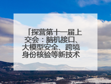 探营第十一届上交会：脑机接口、大模型安全、跨境身份核验等新技术将悉数亮相