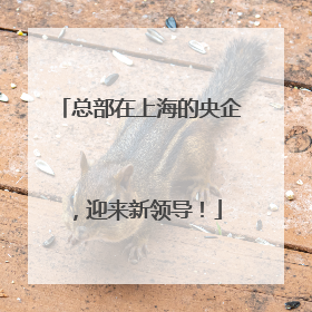 总部在上海的央企，迎来新领导！