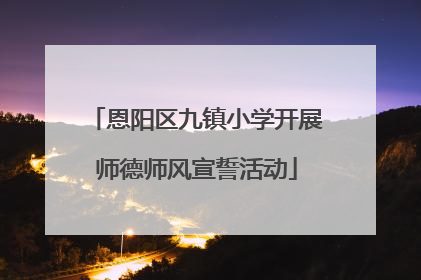 恩阳区九镇小学开展师德师风宣誓活动