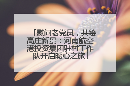 慰问老党员，共绘高庄新景：河南航空港投资集团驻村工作队开启暖心之旅
