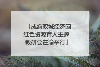 成渝双城经济圈红色资源育人主题教研会在渝举行