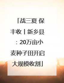 战三夏 保丰收丨新乡县：20万亩小麦种子田开启大规模收割