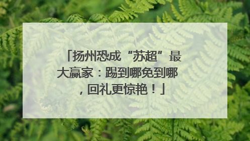 扬州恐成“苏超”最大赢家：踢到哪免到哪，回礼更惊艳！