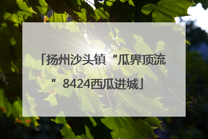扬州沙头镇“瓜界顶流”8424西瓜进城