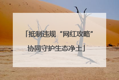 抵制违规“网红攻略” 协同守护生态净土