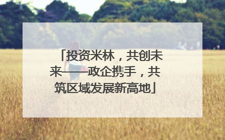 投资米林，共创未来——政企携手，共筑区域发展新高地