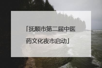 抚顺市第二届中医药文化夜市启动