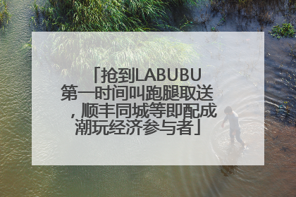 抢到LABUBU第一时间叫跑腿取送，顺丰同城等即配成潮玩经济参与者