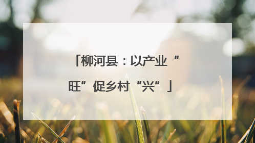 柳河县：以产业“旺”促乡村“兴”