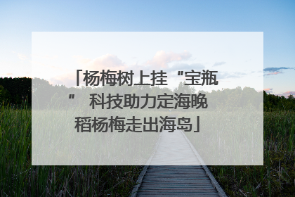 杨梅树上挂“宝瓶” 科技助力定海晚稻杨梅走出海岛