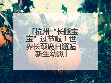 杭州“长腿宝宝”过节啦！世界长颈鹿日邂逅新生幼崽